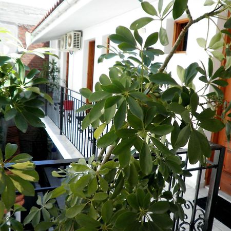 Mimoza Studios Skiathos Town Ngoại thất bức ảnh