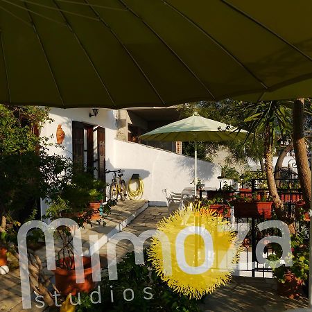 Mimoza Studios Skiathos Town Ngoại thất bức ảnh