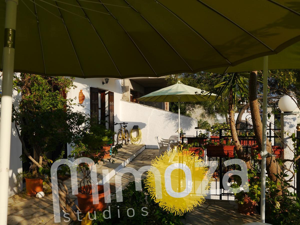 Mimoza Studios Skiathos Town Ngoại thất bức ảnh