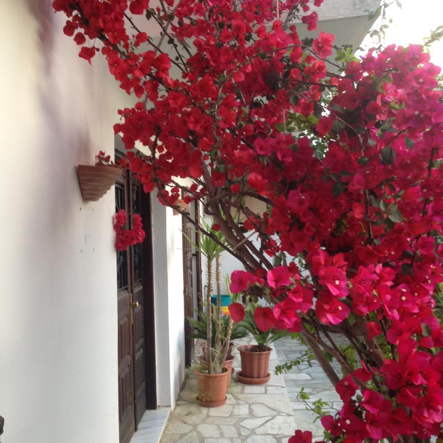 Mimoza Studios Skiathos Town Ngoại thất bức ảnh