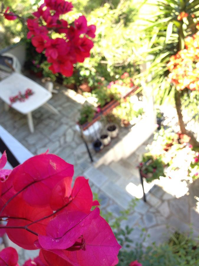 Mimoza Studios Skiathos Town Ngoại thất bức ảnh